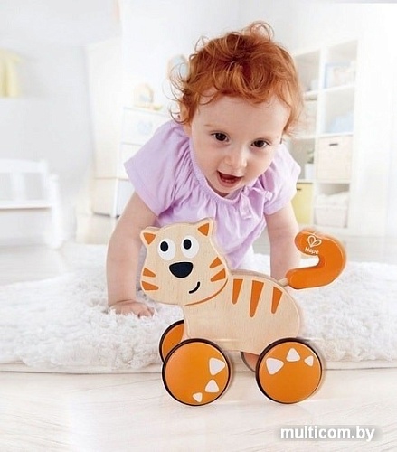 Развивающая игрушка Hape Кот Данте E0363