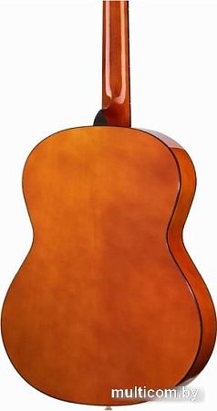 Акустическая гитара Homage LF-3900