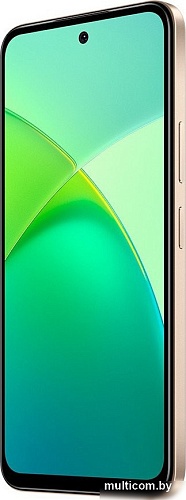 Телефон Infinix Smart 10 X6725D 4GB/128GB (золотистый)