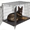 Клетка Midwest Life Stages для собак 2 двери 1648DD (124x79x82см, черный)