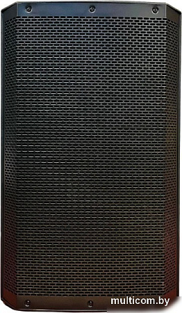 Активная акустика Acury DS12