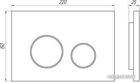 Панель смыва Ани Пласт WP1310 (хром)