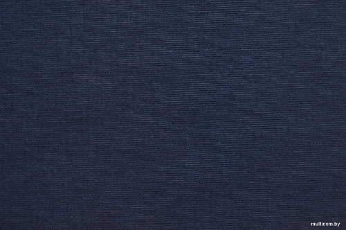 Расходные материалы для ламинаторов и брошюровщиков OPUS Classic A4 304x212мм OHC304X212N10 (10шт, синий)