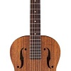 Акустическая гитара Gretsch G9200 Boxcar MAH RND NCK NA