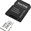 Карта памяти SanDisk High Endurance microSDXC SDSQQNR-256G-GN6IA 256GB