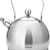 Чайник со свистком Fissman Adele 5908