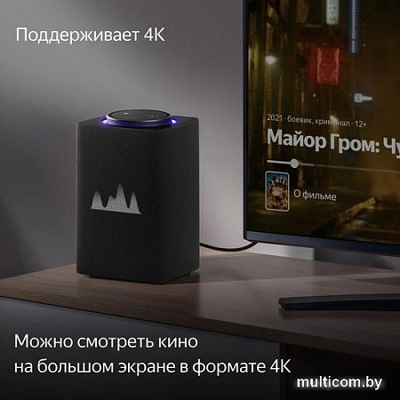 Умная колонка Яндекс Станция Макс (с хабом умного дома Zigbee, графит)