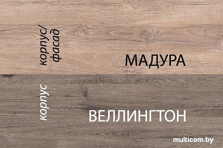Anrex Diesel 2DG2S/D1 Дуб Мадура/Веллингтон