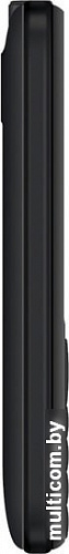 Мобильный телефон Digma Linx B241 (черный)