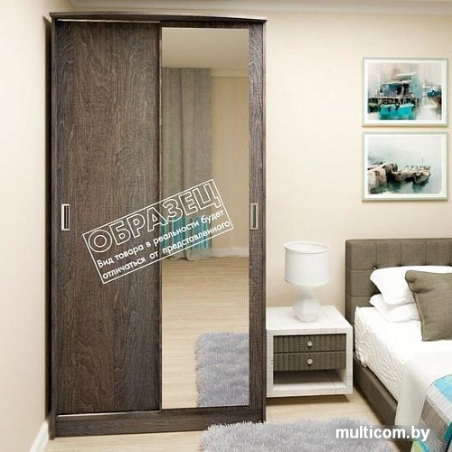 Шкаф раздвижной Кортекс-мебель Лагуна ШК03-01 (береза/белый)