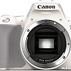 Зеркальный фотоаппарат Canon EOS 250D Kit 18-55 IS STM (белый)