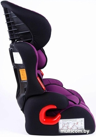 Детское автокресло Amarobaby Big trip AB212006BTF/22 (фиолетовый)