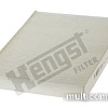 Hengst E2953LI