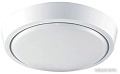 Припотолочная люстра Estares DLR 25W R-280-CW-WHITE/WHITE-220-IP44