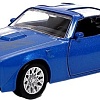 Легковой автомобиль Автоград Pontiac Firebird 9170911 (синий)