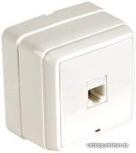 Розетка компьютерная Mutlusan Bron 2160 136 0202