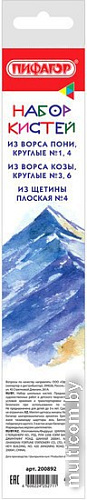 Набор кистей Пифагор 200892 (5 шт)