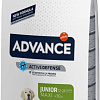 Сухой корм для собак Advance Maxi Junior с курицей и рисом 14 кг