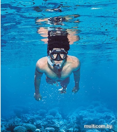 Набор для плавания ARENA Premium Snorkeling Set 002018 505 (черный)