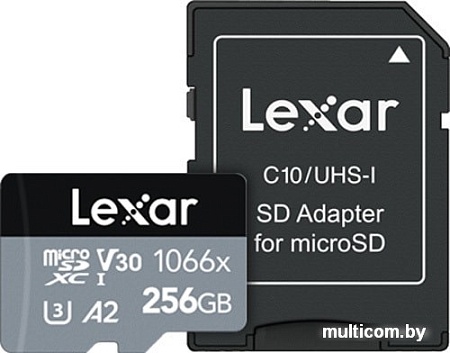 Карта памяти Lexar microSDXC LMS1066256G-BNANG 256GB (с адаптером)