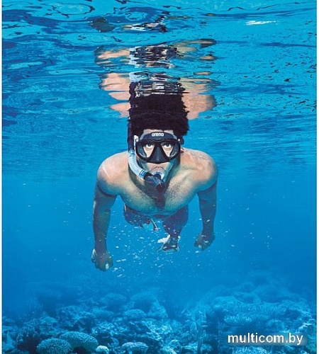 Набор для плавания ARENA Premium Snorkeling Set 002018 505 (черный)