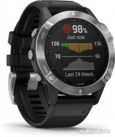 Умные часы Garmin Fenix 6 (серебристый/черный)