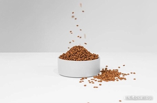 Сухой корм для собак Nature's Protection SC Red Coat Grain Free Lamb (1.5 кг)