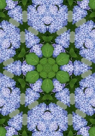 Фотообои Твоя планета Цветочный калейдоскоп В8-113