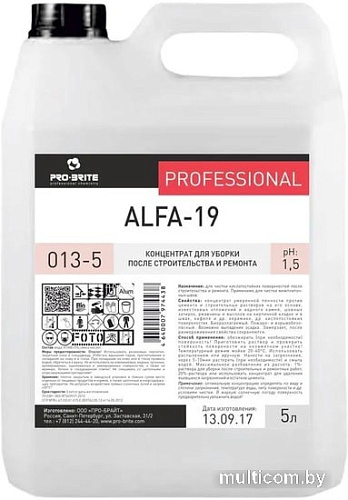 Средство после ремонта Pro-Brite Alfa-19 5 л