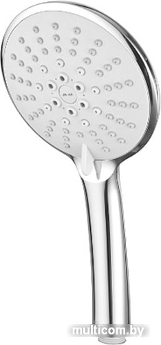 Душевая лейка AM.PM Bliss L F0253100