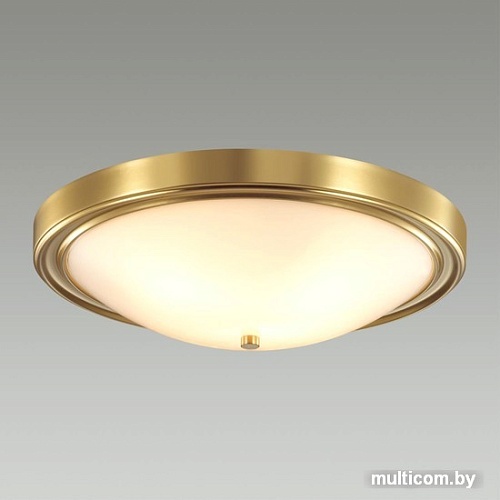 Припотолочная люстра Lumion Nina 5259/4C