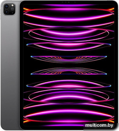 Планшет Apple iPad Pro 12.9" 2022 2TB (серый космос)