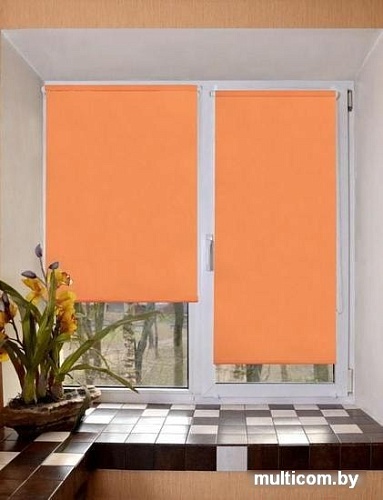 Рулонные шторы Lm Decor Лайт LM 30-03D 180x185