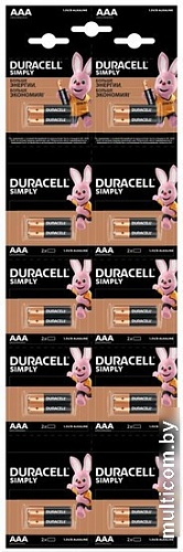Батарейка DURACELL AAA HBDC LR03 2x10 шт