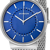 Наручные часы Skagen SKW6234