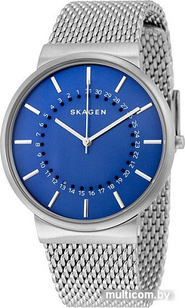 Наручные часы Skagen SKW6234