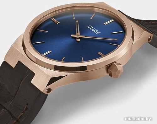 Наручные часы Cluse Vigoureux CW0101503002