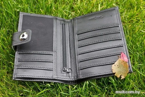 Кошелек Carlo Gattini Coste 7416-04