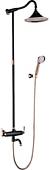 Душевая система Lemark LM6162BRG