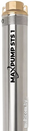Скважинный насос Maxpump STS 1
