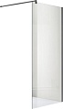 Душевая стенка Adema Реген 100 Walk-In (графит браш)