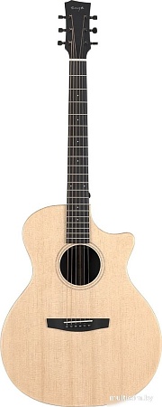 Электроакустическая гитара Enya EGA-X1 Pro/NA.SP1.EQ