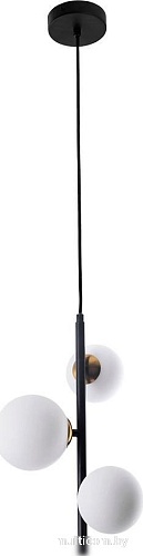 Подвесная люстра Arte Lamp Gemini A2243SP-3BK