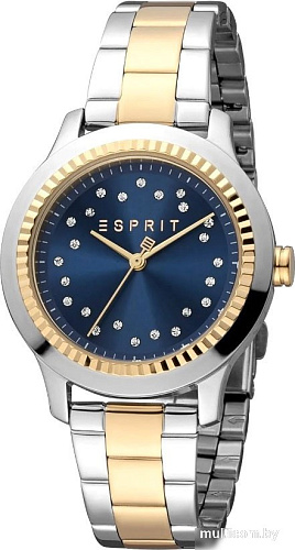 Наручные часы Esprit ES1L351M0125