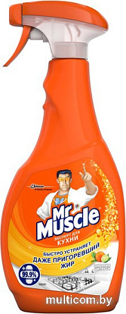 Средство для кухни Mr. Muscle Эксперт для кухни Энергия цитруса (500 мл)