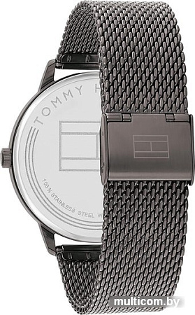Наручные часы Tommy Hilfiger James 1791878