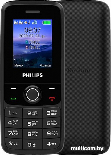 Мобильный телефон Philips Xenium E117 (темно-серый)