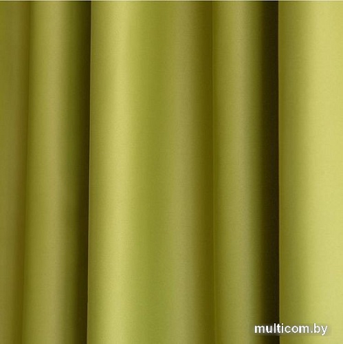 Комплект штор Pasionaria Блэквуд 400x250 (зеленый)