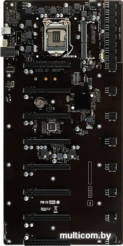 Материнская плата BIOSTAR TB360-BTC D+ Ver. 6.0