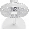 Вентилятор Xiaomi SmartMi DC Natural Wind Fan S2 (белый)